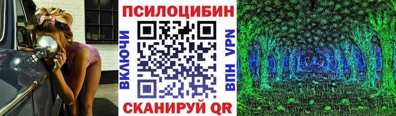 Псилоцибиновые грибы GOLDEN TEACHER  где можно купить наркотик  Йошкар-Ола 